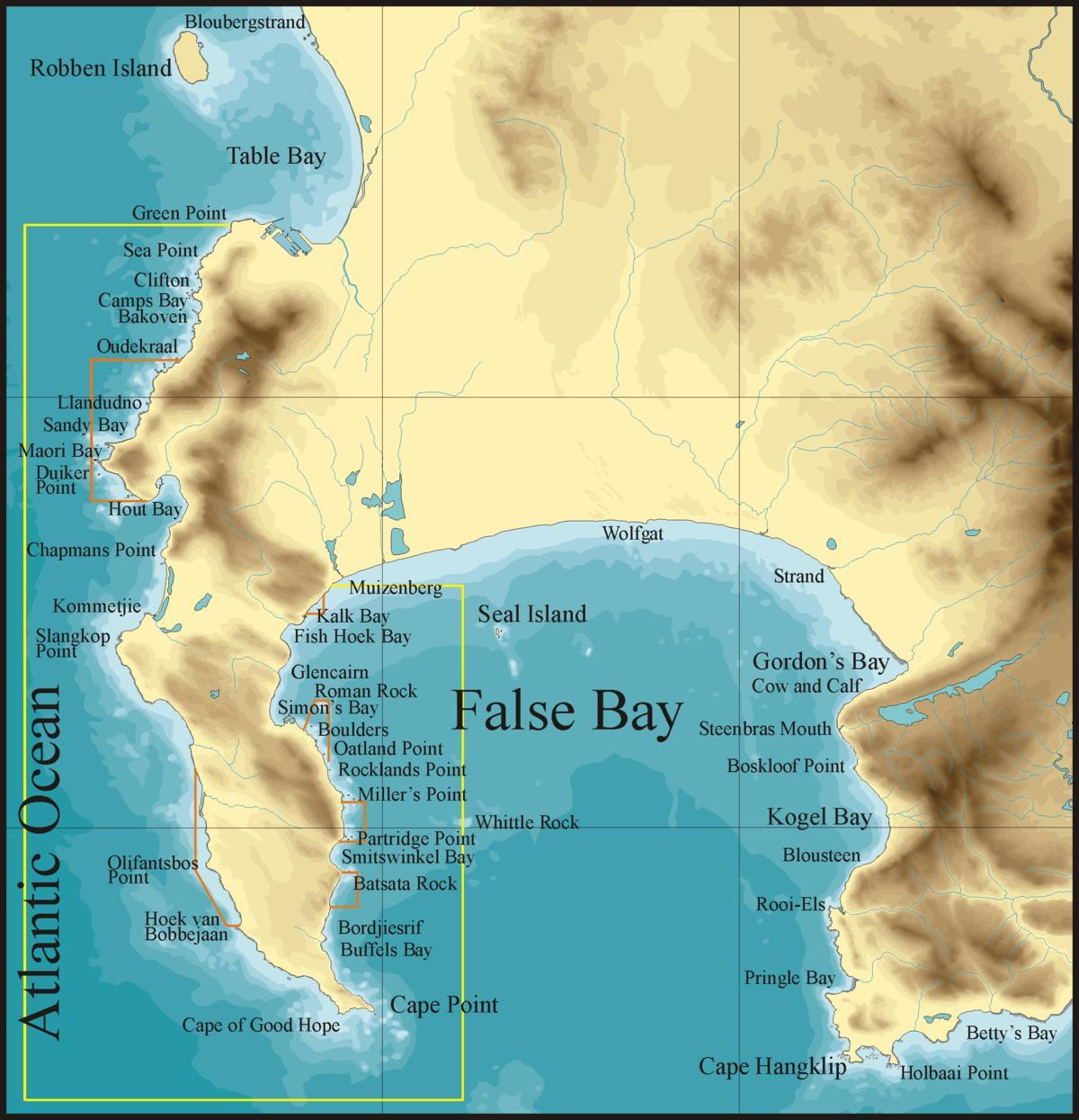peta palsu bay Cape Town