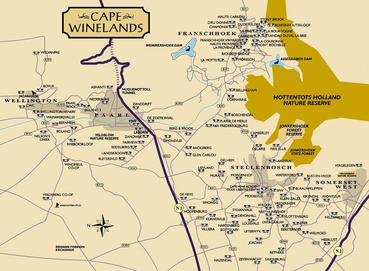 peta winelands Cape Town
