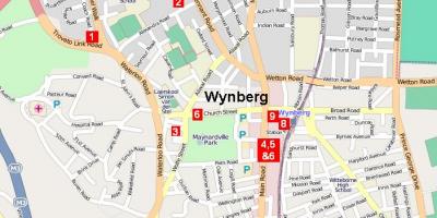  peta wynberg Cape Town